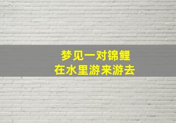 梦见一对锦鲤在水里游来游去