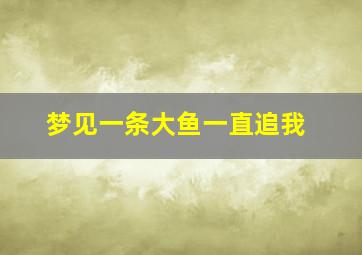 梦见一条大鱼一直追我