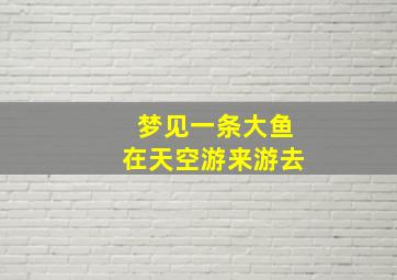 梦见一条大鱼在天空游来游去