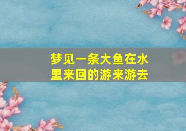 梦见一条大鱼在水里来回的游来游去