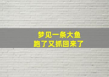 梦见一条大鱼跑了又抓回来了