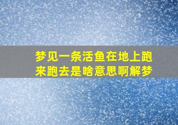 梦见一条活鱼在地上跑来跑去是啥意思啊解梦