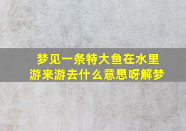 梦见一条特大鱼在水里游来游去什么意思呀解梦