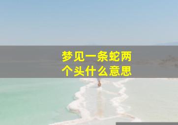 梦见一条蛇两个头什么意思