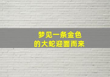 梦见一条金色的大蛇迎面而来