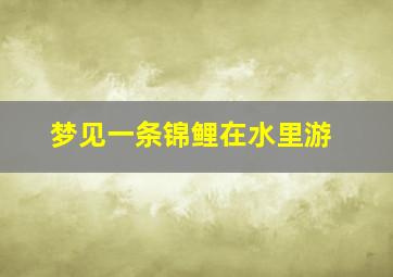 梦见一条锦鲤在水里游