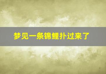 梦见一条锦鲤扑过来了