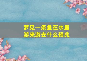 梦见一条鱼在水里游来游去什么预兆