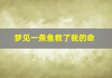 梦见一条鱼救了我的命