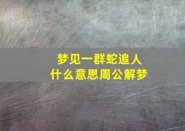 梦见一群蛇追人什么意思周公解梦