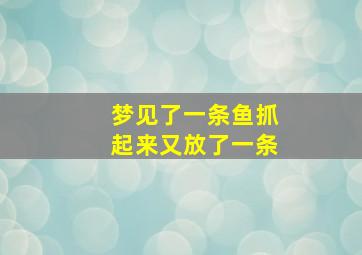 梦见了一条鱼抓起来又放了一条