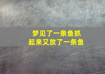 梦见了一条鱼抓起来又放了一条鱼