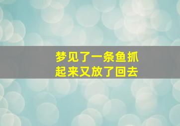 梦见了一条鱼抓起来又放了回去