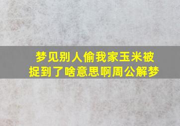 梦见别人偷我家玉米被捉到了啥意思啊周公解梦