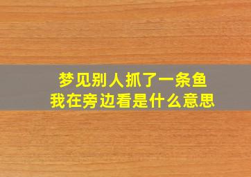 梦见别人抓了一条鱼我在旁边看是什么意思