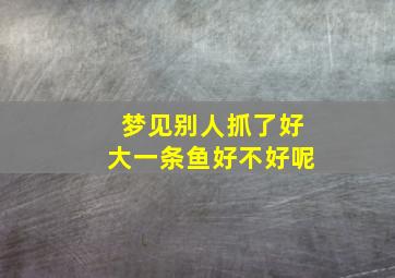 梦见别人抓了好大一条鱼好不好呢