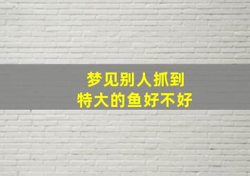 梦见别人抓到特大的鱼好不好