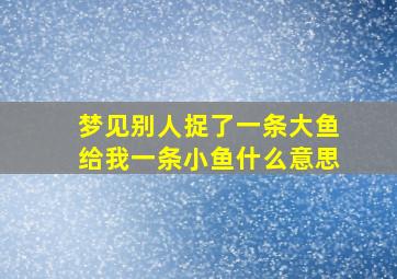 梦见别人捉了一条大鱼给我一条小鱼什么意思