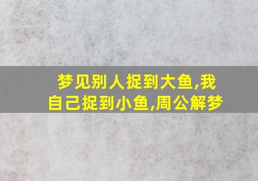 梦见别人捉到大鱼,我自己捉到小鱼,周公解梦