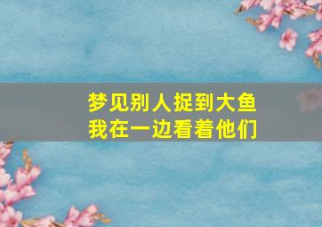 梦见别人捉到大鱼我在一边看着他们