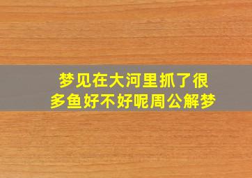 梦见在大河里抓了很多鱼好不好呢周公解梦