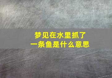 梦见在水里抓了一条鱼是什么意思