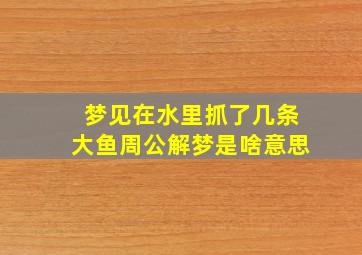 梦见在水里抓了几条大鱼周公解梦是啥意思