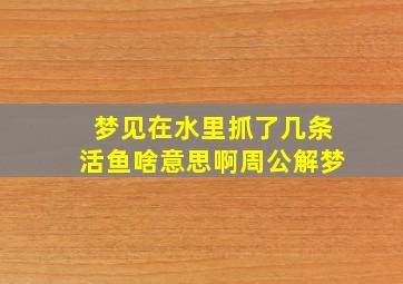 梦见在水里抓了几条活鱼啥意思啊周公解梦