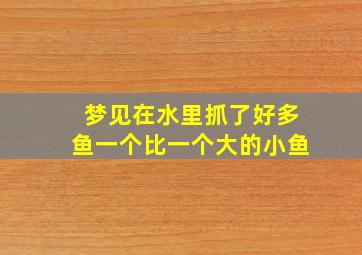 梦见在水里抓了好多鱼一个比一个大的小鱼