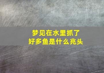 梦见在水里抓了好多鱼是什么兆头