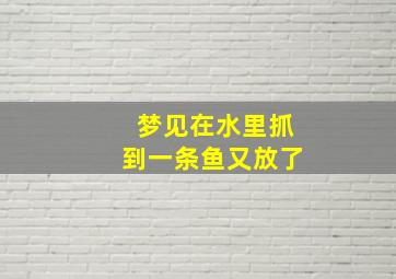 梦见在水里抓到一条鱼又放了