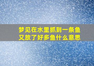 梦见在水里抓到一条鱼又放了好多鱼什么意思