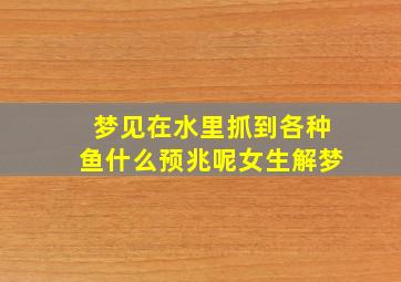 梦见在水里抓到各种鱼什么预兆呢女生解梦