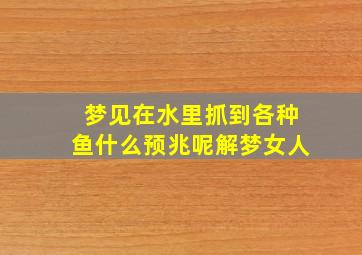 梦见在水里抓到各种鱼什么预兆呢解梦女人