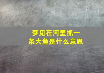 梦见在河里抓一条大鱼是什么意思