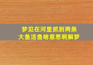 梦见在河里抓到两条大鱼活鱼啥意思啊解梦