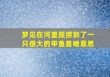 梦见在河里捉捞到了一只很大的甲鱼是啥意思