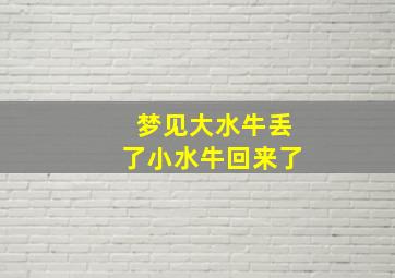 梦见大水牛丢了小水牛回来了