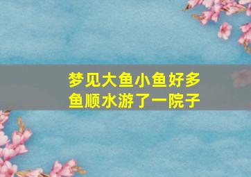 梦见大鱼小鱼好多鱼顺水游了一院子