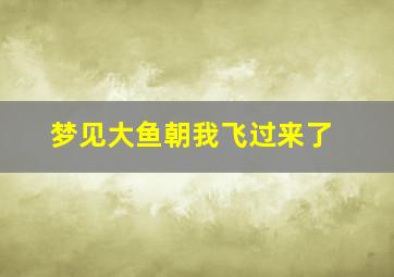 梦见大鱼朝我飞过来了