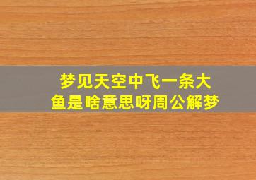 梦见天空中飞一条大鱼是啥意思呀周公解梦