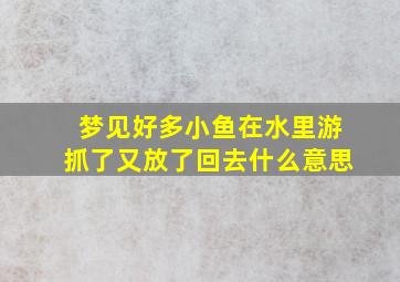 梦见好多小鱼在水里游抓了又放了回去什么意思