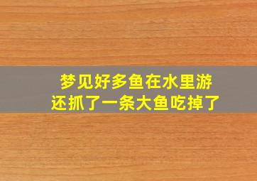 梦见好多鱼在水里游还抓了一条大鱼吃掉了