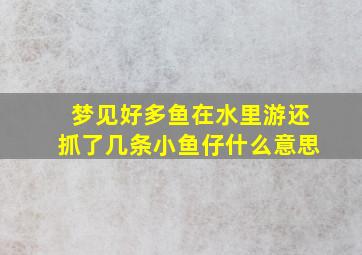 梦见好多鱼在水里游还抓了几条小鱼仔什么意思