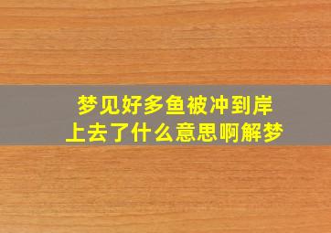 梦见好多鱼被冲到岸上去了什么意思啊解梦