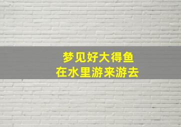 梦见好大得鱼在水里游来游去