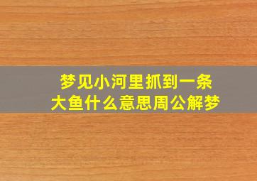 梦见小河里抓到一条大鱼什么意思周公解梦