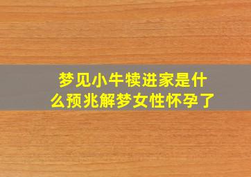 梦见小牛犊进家是什么预兆解梦女性怀孕了