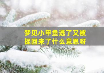 梦见小甲鱼逃了又被捉回来了什么意思呀