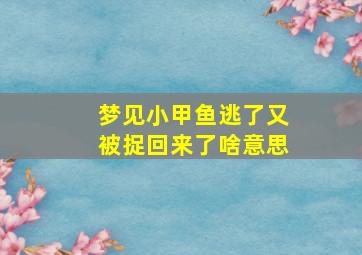 梦见小甲鱼逃了又被捉回来了啥意思